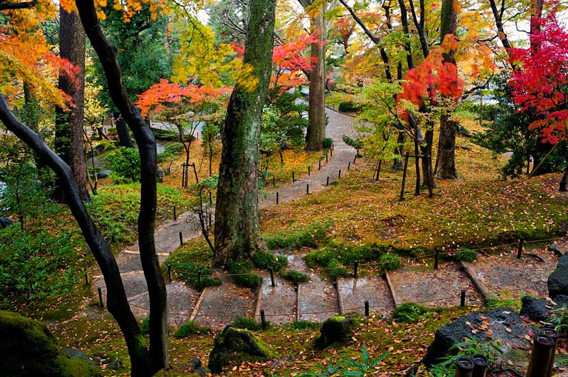 japan-0920